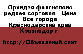 Орхидея фаленопсис редкая сортовая › Цена ­ 800 - Все города  »    . Краснодарский край,Краснодар г.